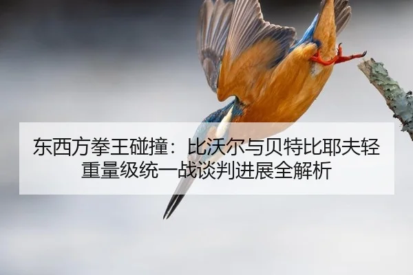 dong-xi-fang-quan-wang-peng-zhuang-bi-wo-er-yu-bei-te-bi-ye-fu-qing-zhong-liang-ji-tong-yi-zhan-tan-pan-jin-zhan-quan-1-823.jpg